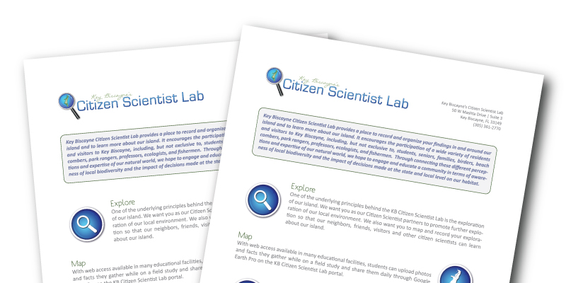 cspP1